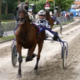 Harddraverij Warmond